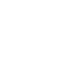 Icon shield - symbolic for IT security